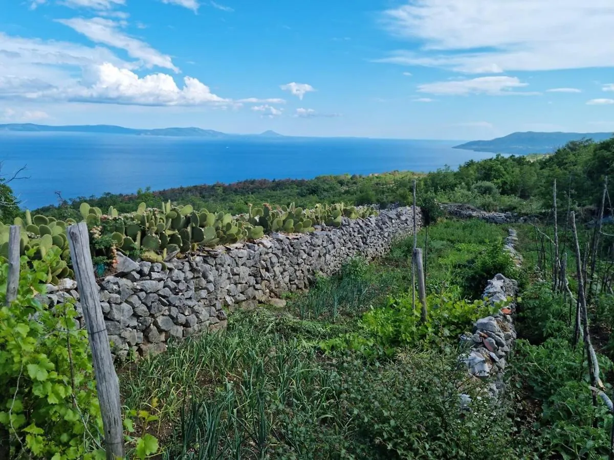 Casa Battiscuro - For Adventurers Only Villa Plomin Croatia
